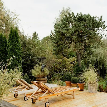 Private Steps And Sunspots In