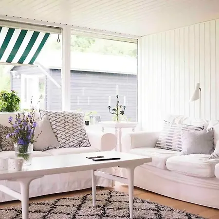 Private Steps And Sunspots In * Tisvildeleje