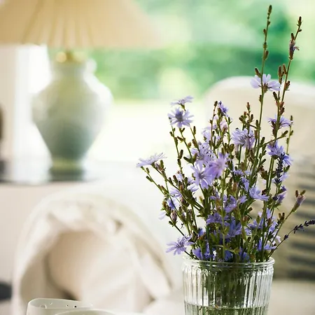 Vakantiehuis Private Steps And Sunspots In