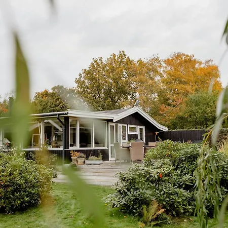 Private Steps And Sunspots In *