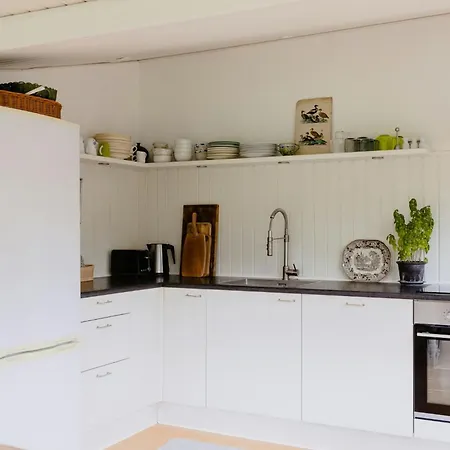 Private Steps And Sunspots In